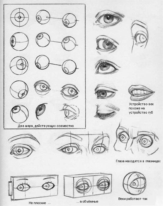 Механика глаз